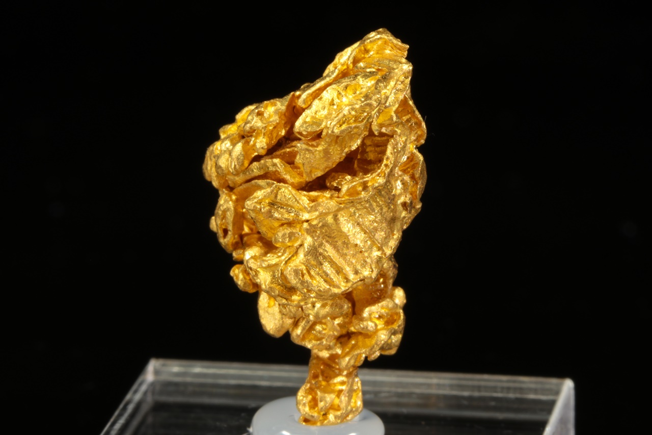 Gold – Bild 6