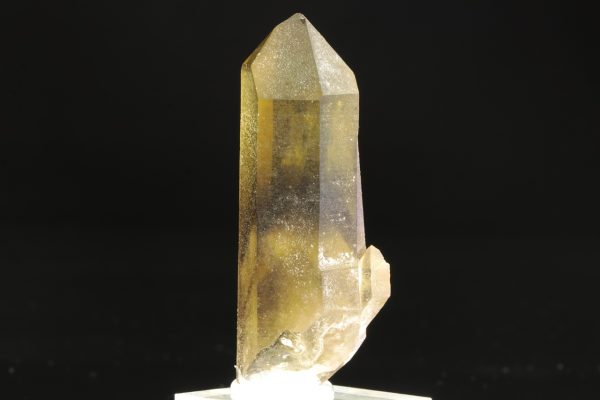 Citrin – Bild 4