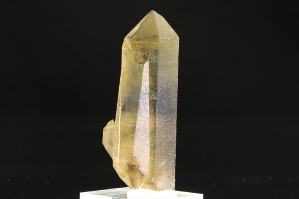 Citrin – Bild 6