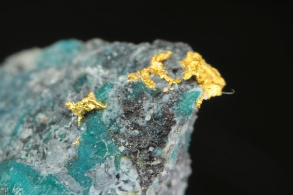 Gold – Bild 5