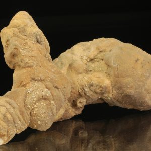 Kalkitkonkretion (Knolle)
