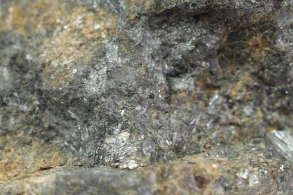 Robinsonit – Bild 5