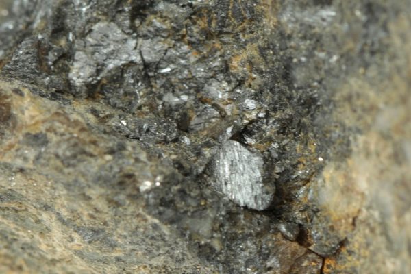 Robinsonit – Bild 6