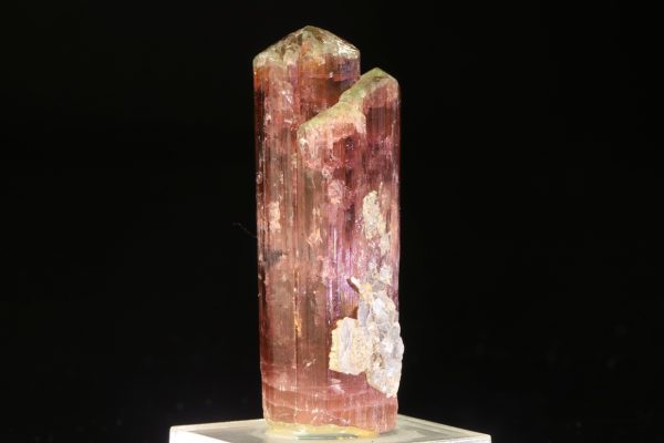 Elbait – Bild 2