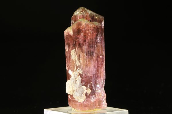 Elbait – Bild 3