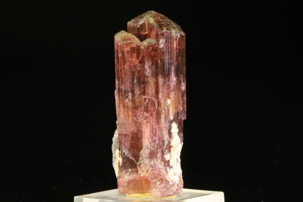 Elbait – Bild 4