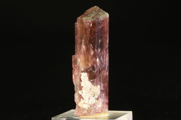Elbait – Bild 5