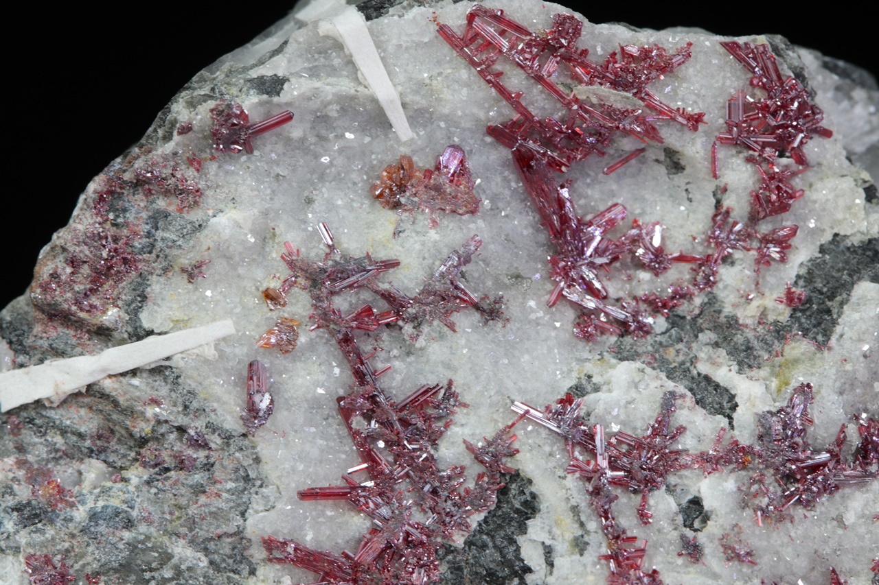 Xanthocon, Proustit – Bild 5