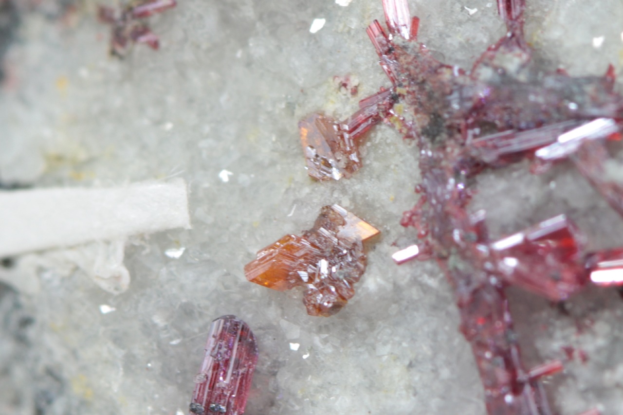 Xanthocon, Proustit – Bild 13