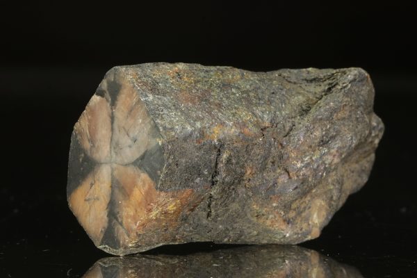 Chiastolith – Bild 2