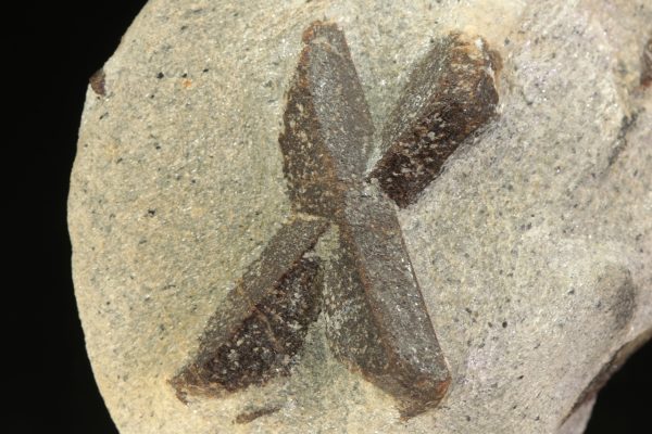 Staurolith – Bild 2