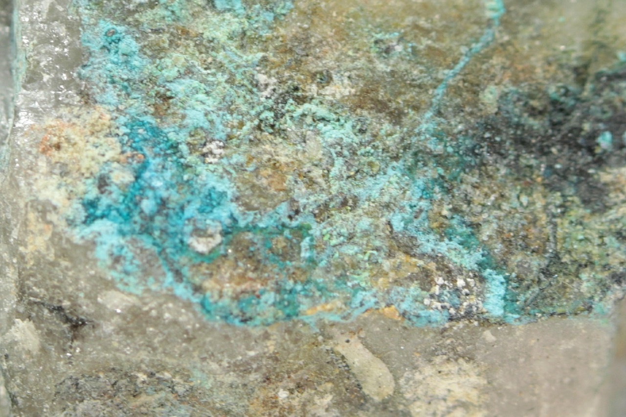 Lavendulan – Bild 6