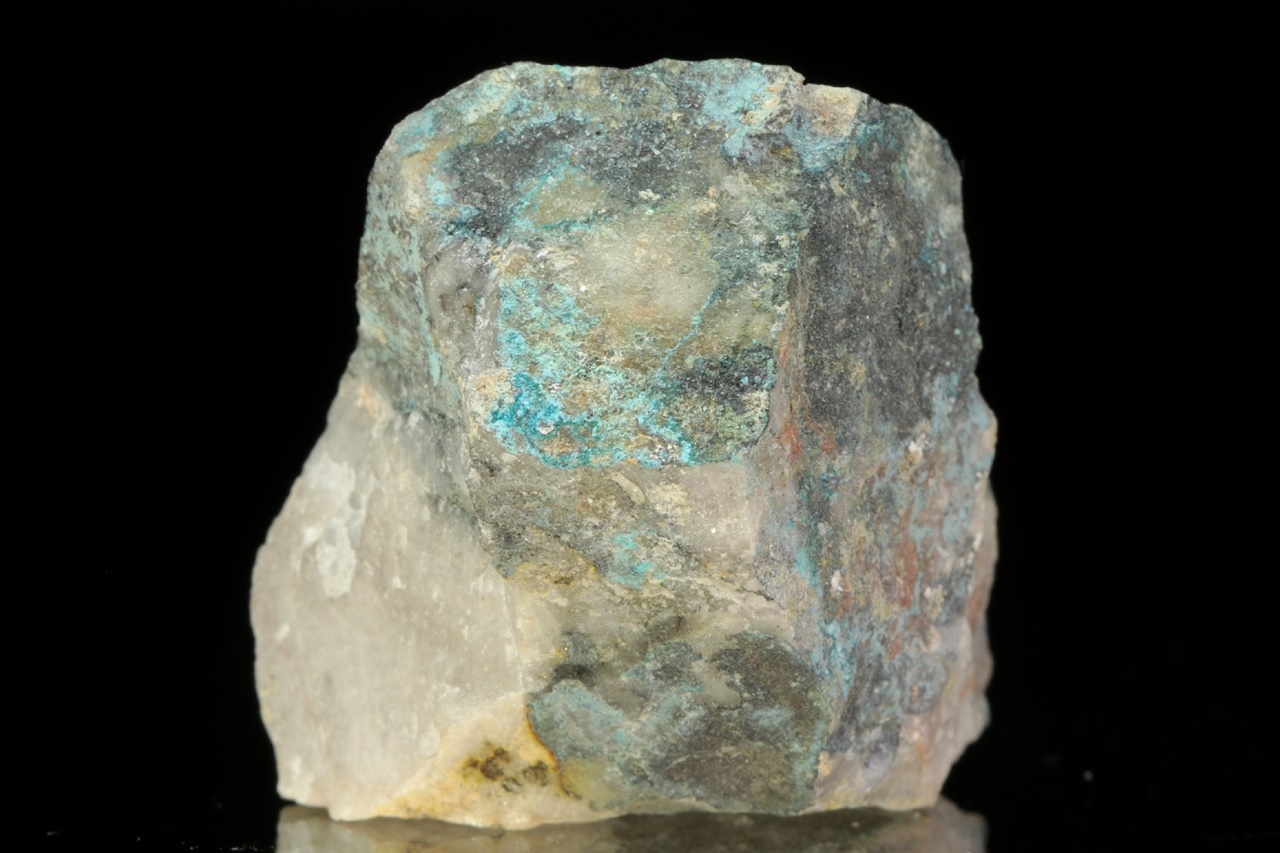 Lavendulan – Bild 4