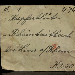 Kuprit (Chalkotrichit)