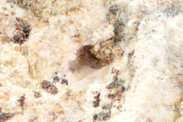 Mountainit, bornemanit – Bild 9