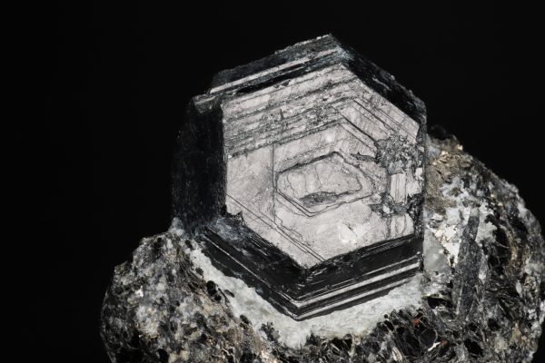 Saphirin – Bild 2