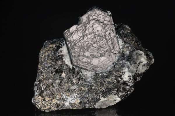 Saphirin – Bild 8