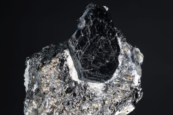 Saphirin – Bild 5