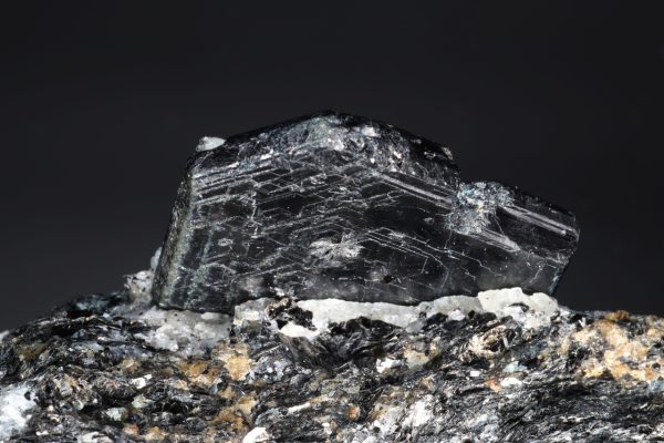 Saphirin – Bild 2