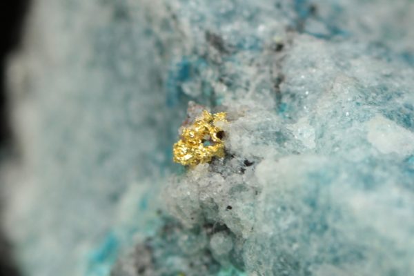 Gold – Bild 6