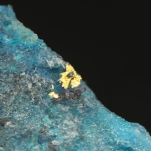 Gold, Shattuckit