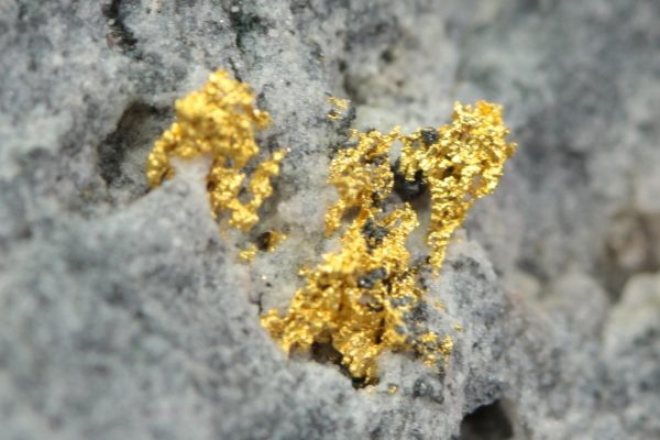 Gold – Bild 8