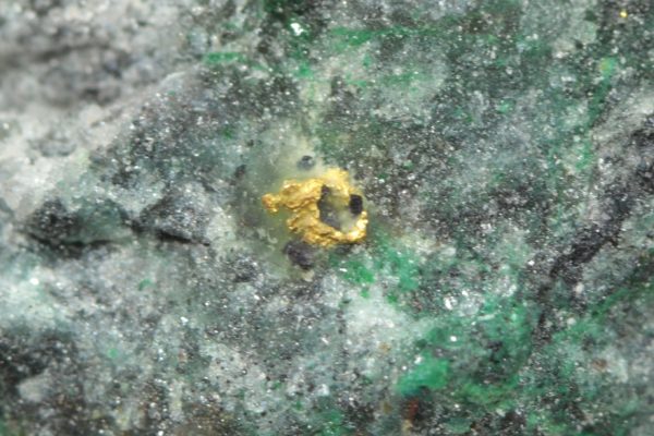Gold – Bild 10