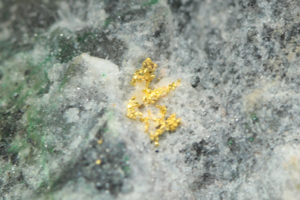 Gold – Bild 11