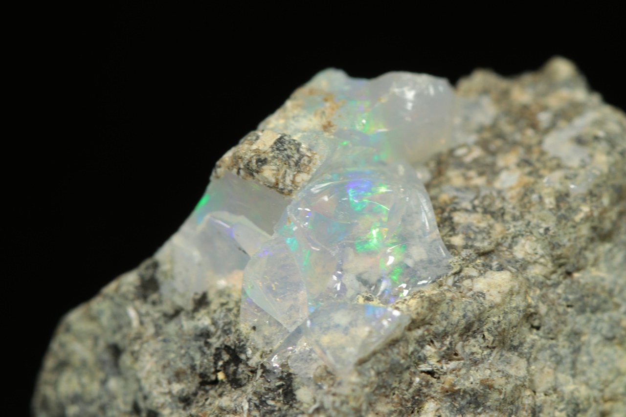 Edelopal