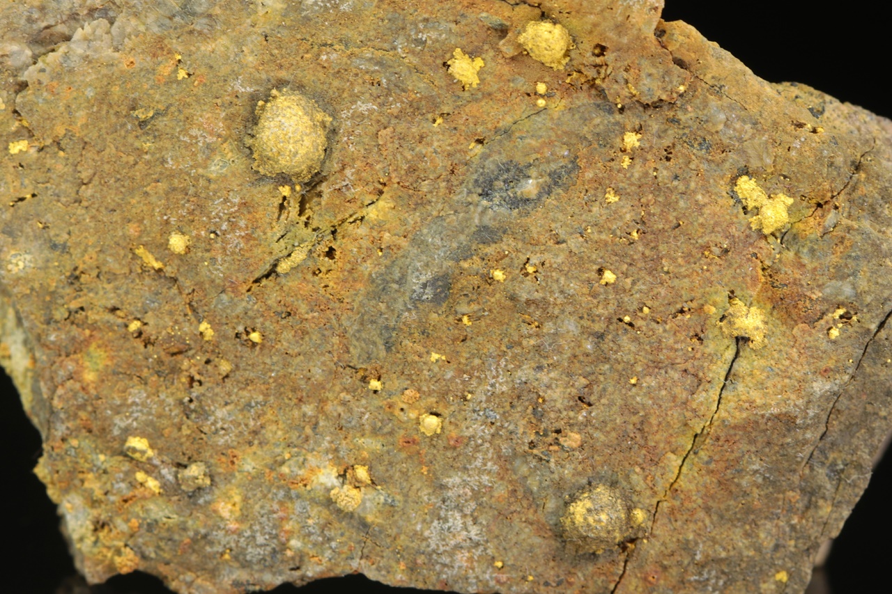 Calaverit (geröstetes Erz) – Bild 4