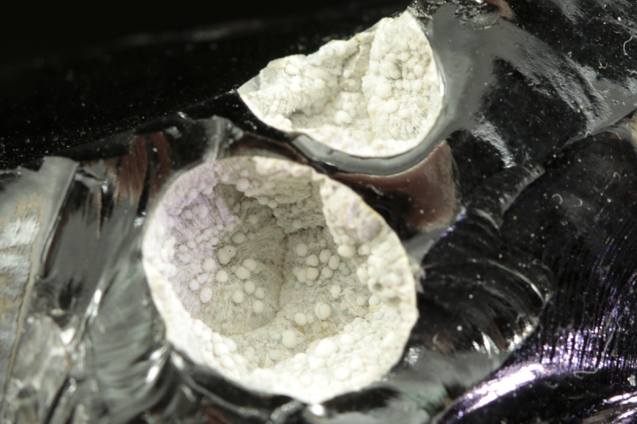 Cristobalit – Bild 4