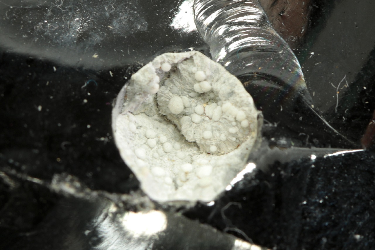 Cristobalit – Bild 5