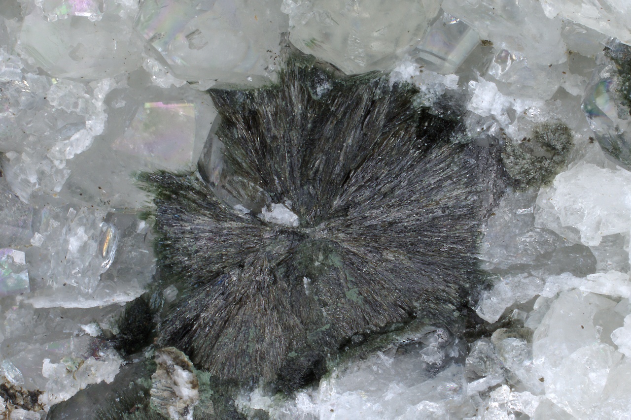 Julgoldit-Fe2+, pektolit – Bild 5