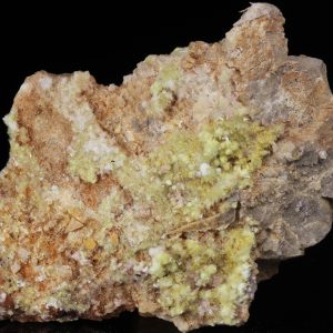 Carlhintzeit, Creedit