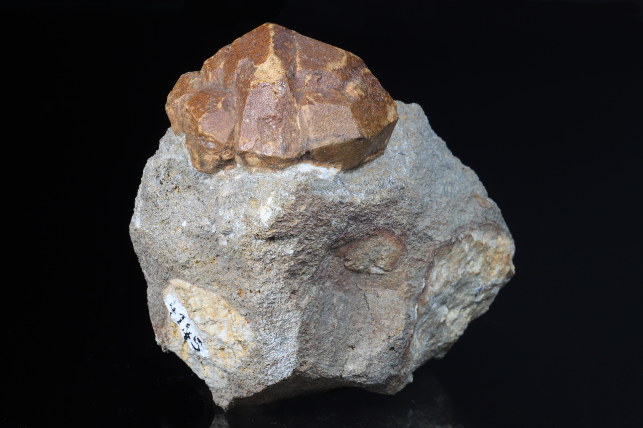 Pseudoleucit – Bild 3