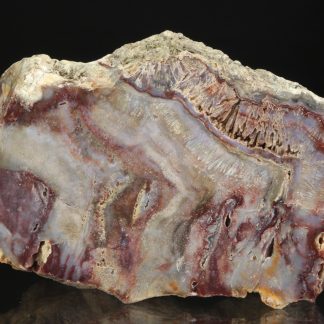 Limnoquarzit