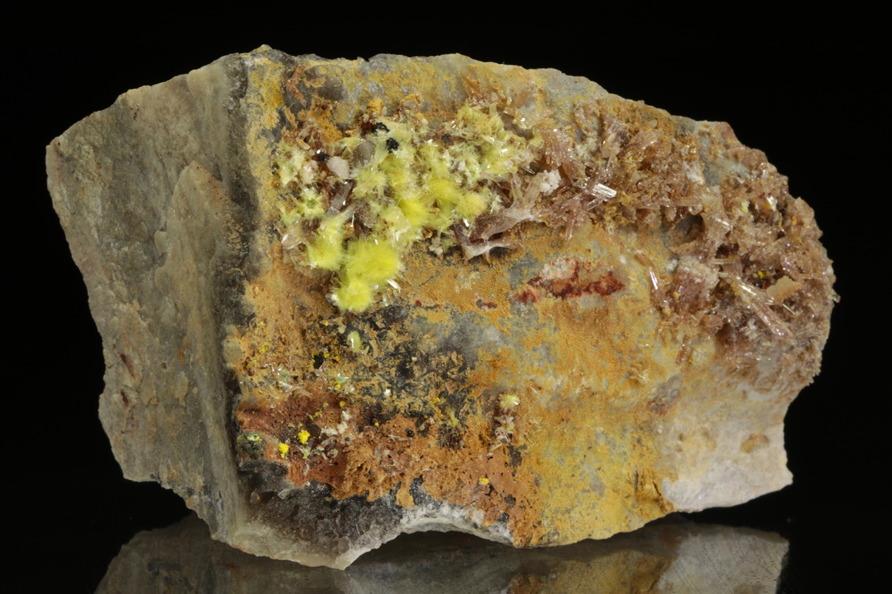 Carlhintzeit, creedit – Bild 2