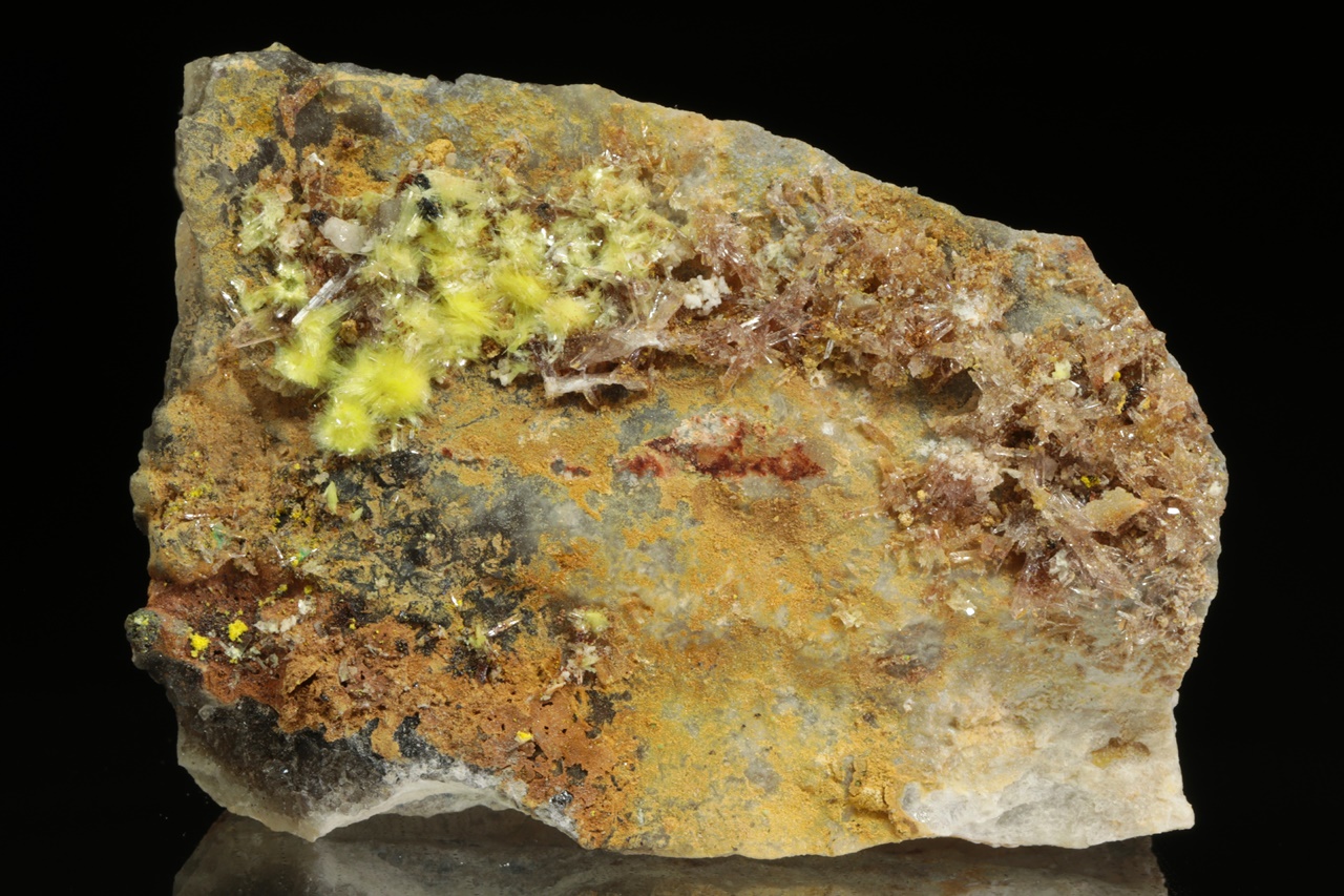 Carlhintzeit, creedit