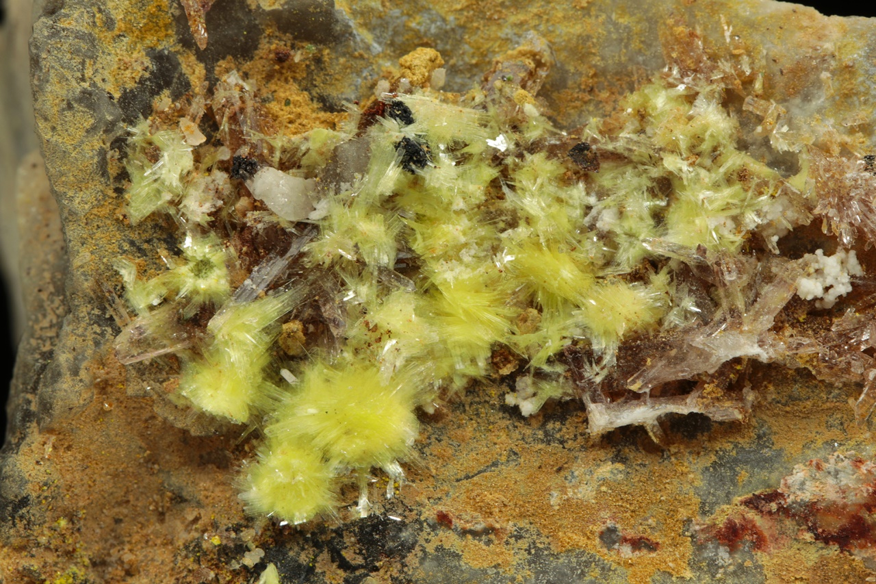 Carlhintzeit, creedit – Bild 5