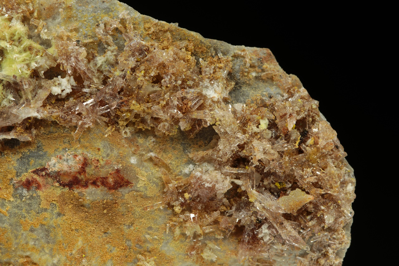 Carlhintzeit, creedit – Bild 6