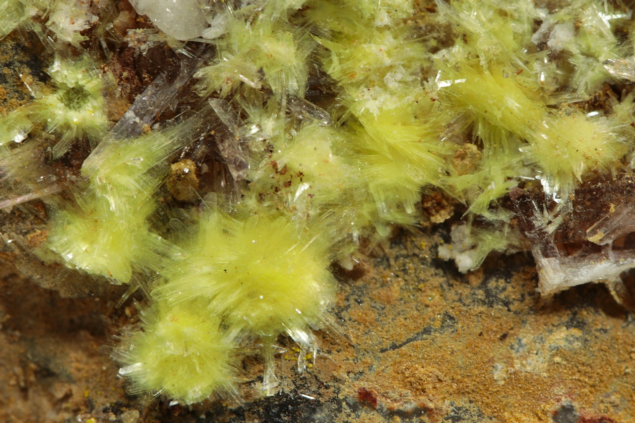 Carlhintzeit, creedit – Bild 7