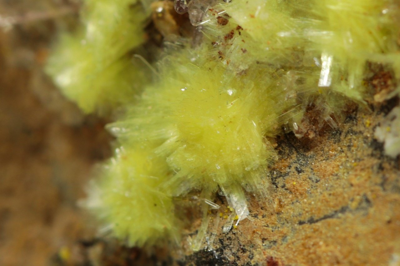 Carlhintzeit, creedit – Bild 8