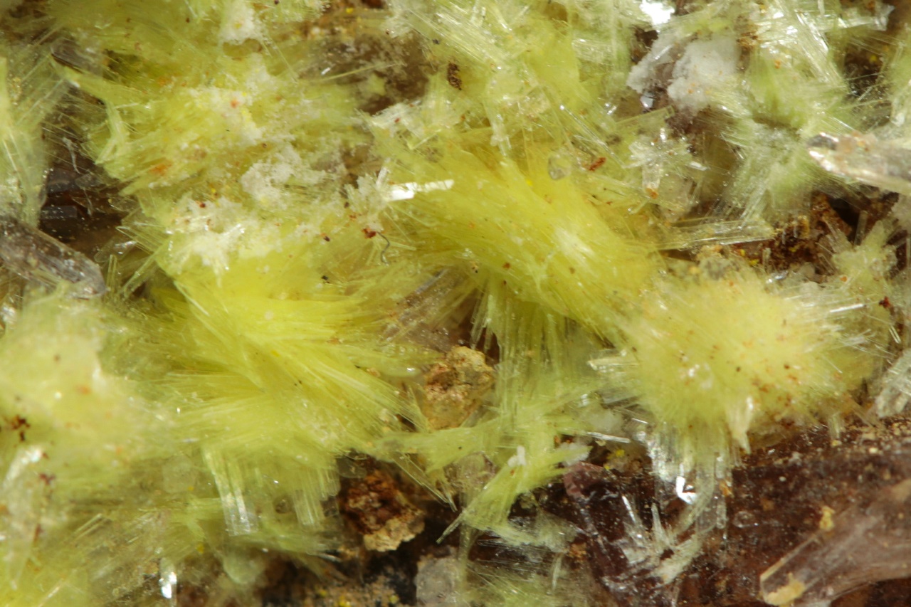 Carlhintzeit, creedit – Bild 9