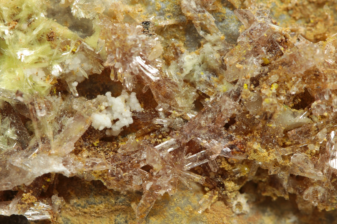 Carlhintzeit, creedit – Bild 10