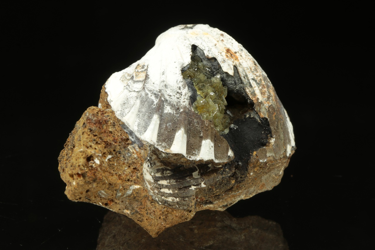 Anapait – Bild 2