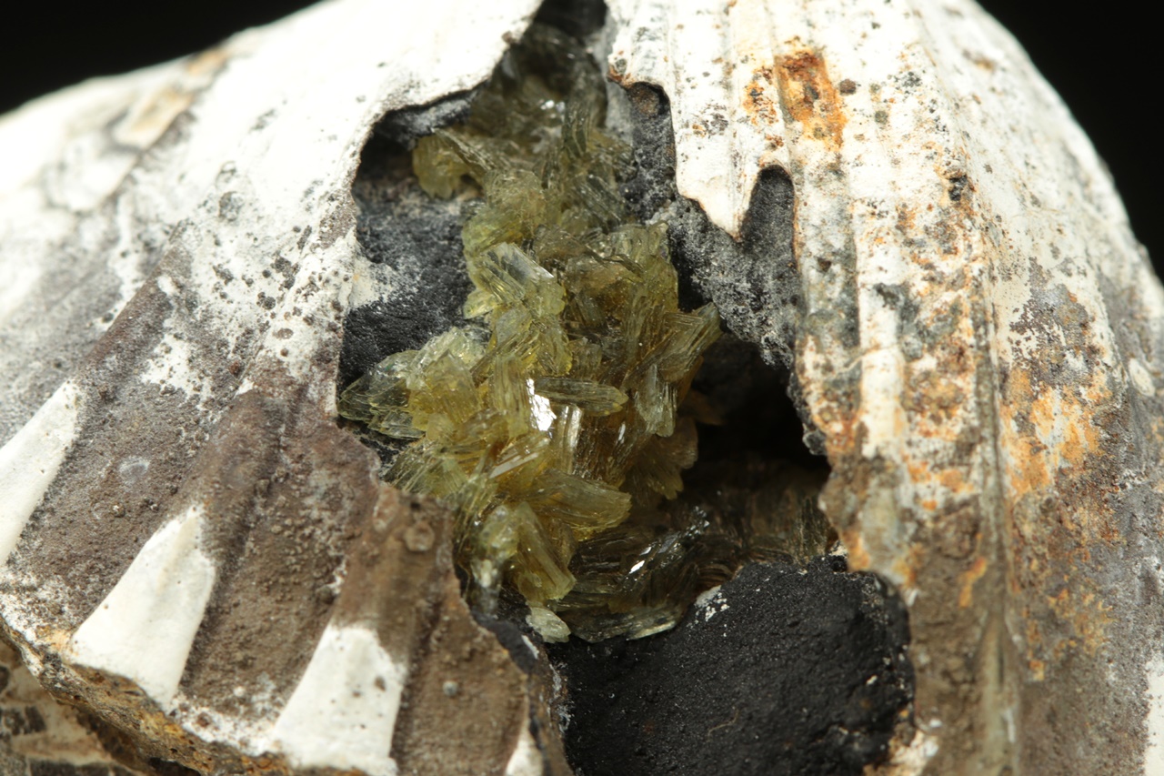Anapait – Bild 5