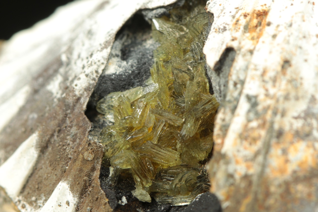 Anapait – Bild 6