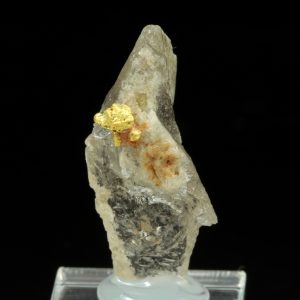 Zlato, záhněda